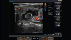 endocrinology-tab-1